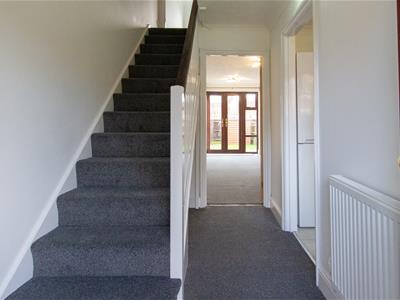 Picture 13